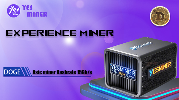 DOGE Experience Miner